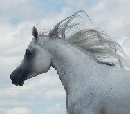 april_2012002001.jpg