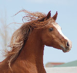 april_2012002002.jpg
