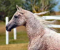 april_2012002003.jpg