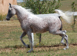 april_2012003003.jpg