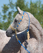 april_2012003004.jpg
