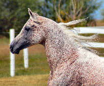 april_2012003005.jpg