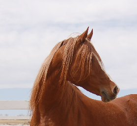 april_2012004001.jpg