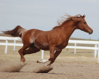 april_2012004002.jpg