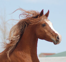 april_2012004003.jpg