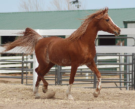 april_2012004004.jpg