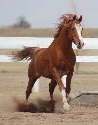 april_2012004005.jpg