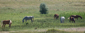 april_2012006001.jpg
