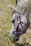 april_2012006002.jpg