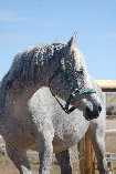 april_2012006003.jpg