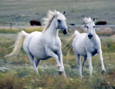 april_2012006004.jpg