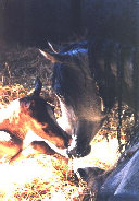 april_2012006007.jpg