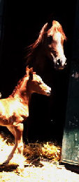 april_2012006009.jpg