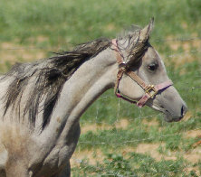 april_2012007003.jpg