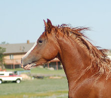 april_2012007005.jpg
