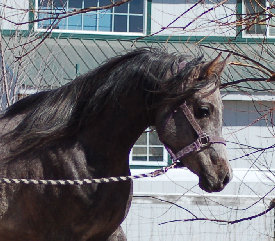 april_2012007006.jpg