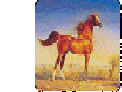 april_2012009003.gif