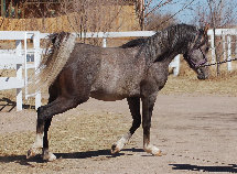 april_2012011001.jpg