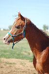 april_2012012003.jpg